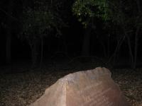 Chicago Ghost Hunters Group investigates Robinson Woods (179).JPG